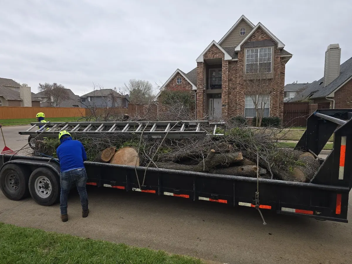 Expert Tree Fertilization with proper safety equipment in Sheldon